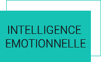 Test d'intelligence émotionnelle par un coach Paris certifié  